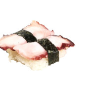 Tako Nigiri