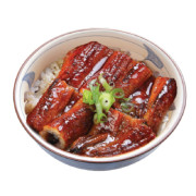 Unagi Don